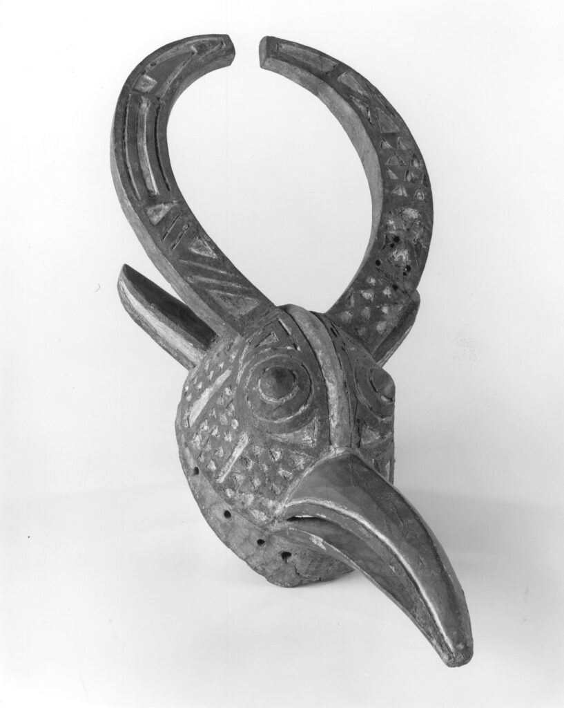 Mask Combining Bird and Buffalo Features (3)